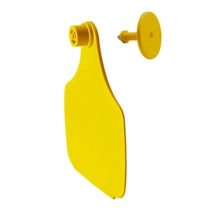 arete vacuno