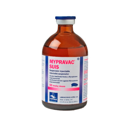mypravac suis