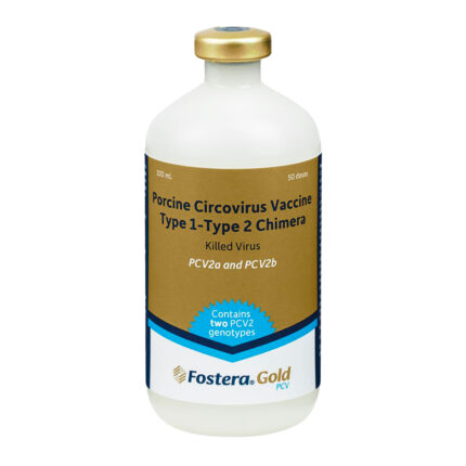 Fostera Gold PCV - Circovirus